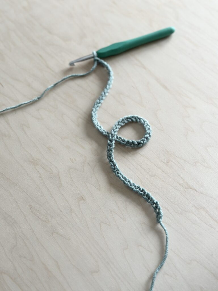 Crochet hook in thread at the end of a chain.