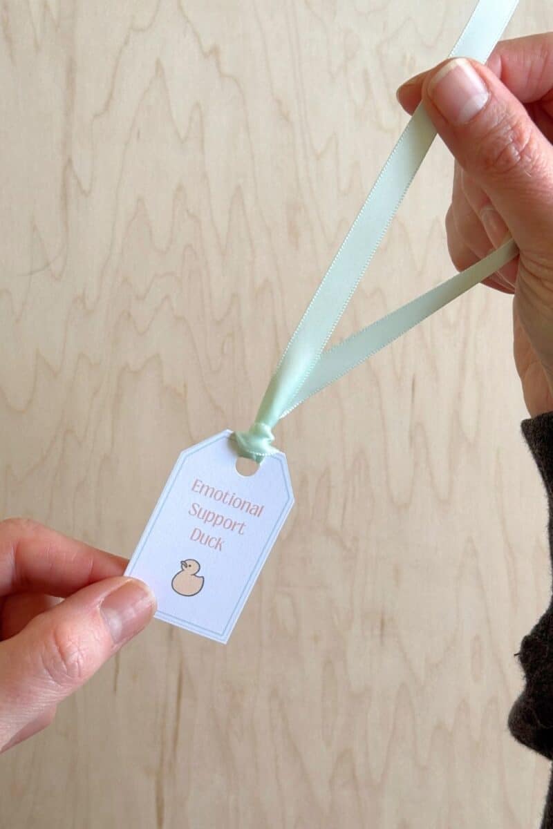 Hands holding a tag and ribbon tied through the hole on the tag.