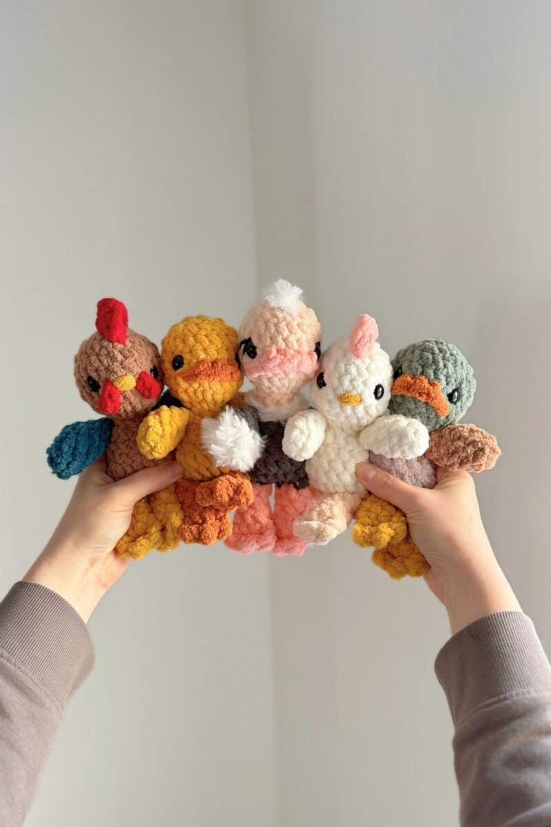 Hands holding crochet animals - a duck, rooster, ostrich, chicken and a mallard.