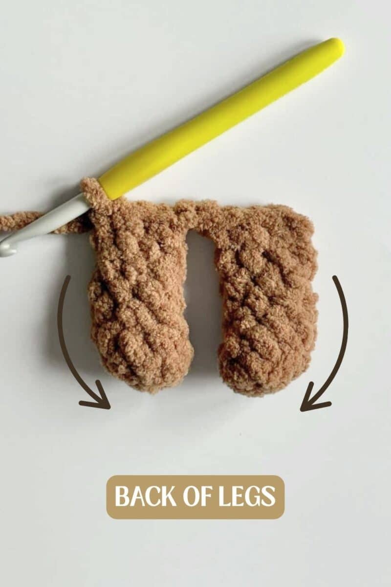 The final photo has arrows showing the angle and a label identifying the back of the legs.