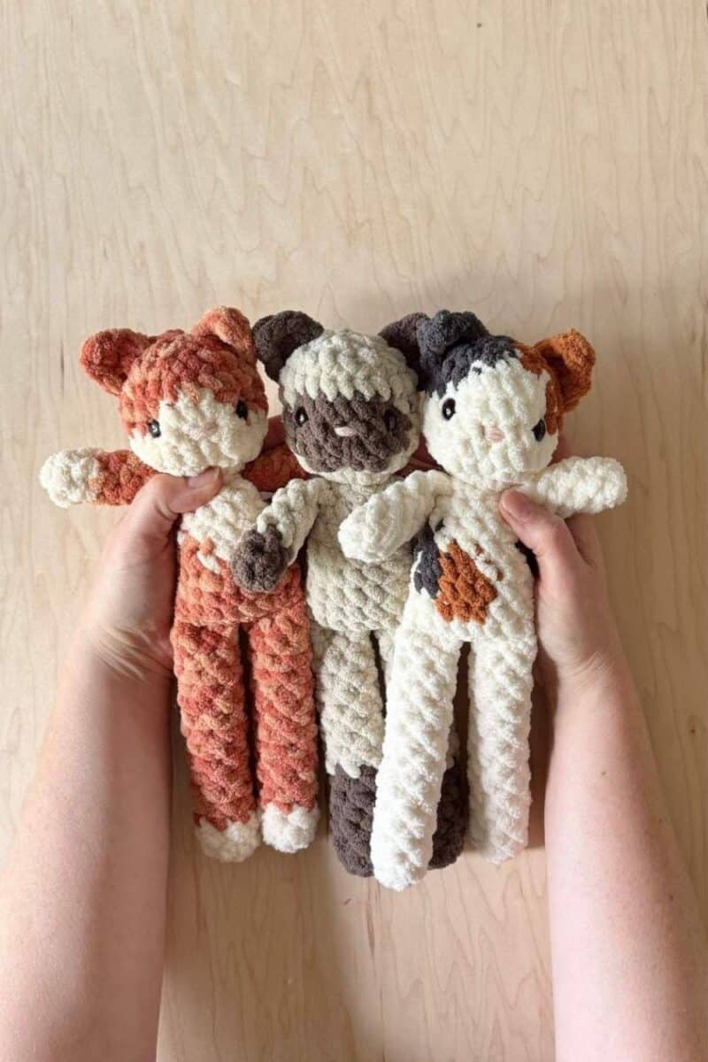Three different breeds of crochet cats.
