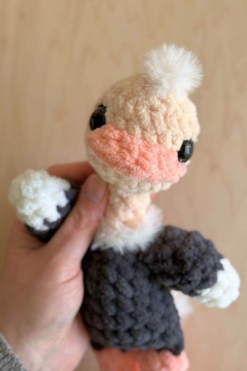 Close up of a crochet ostrich.