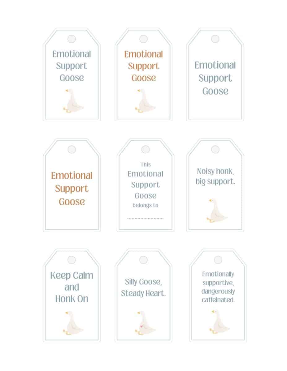 Image of tags available with download.