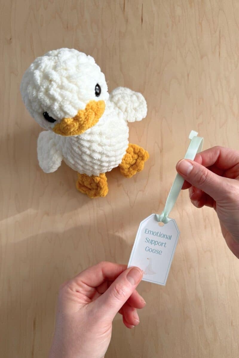 Hands showing the ribbon tied through the hole on a printed gift tag.