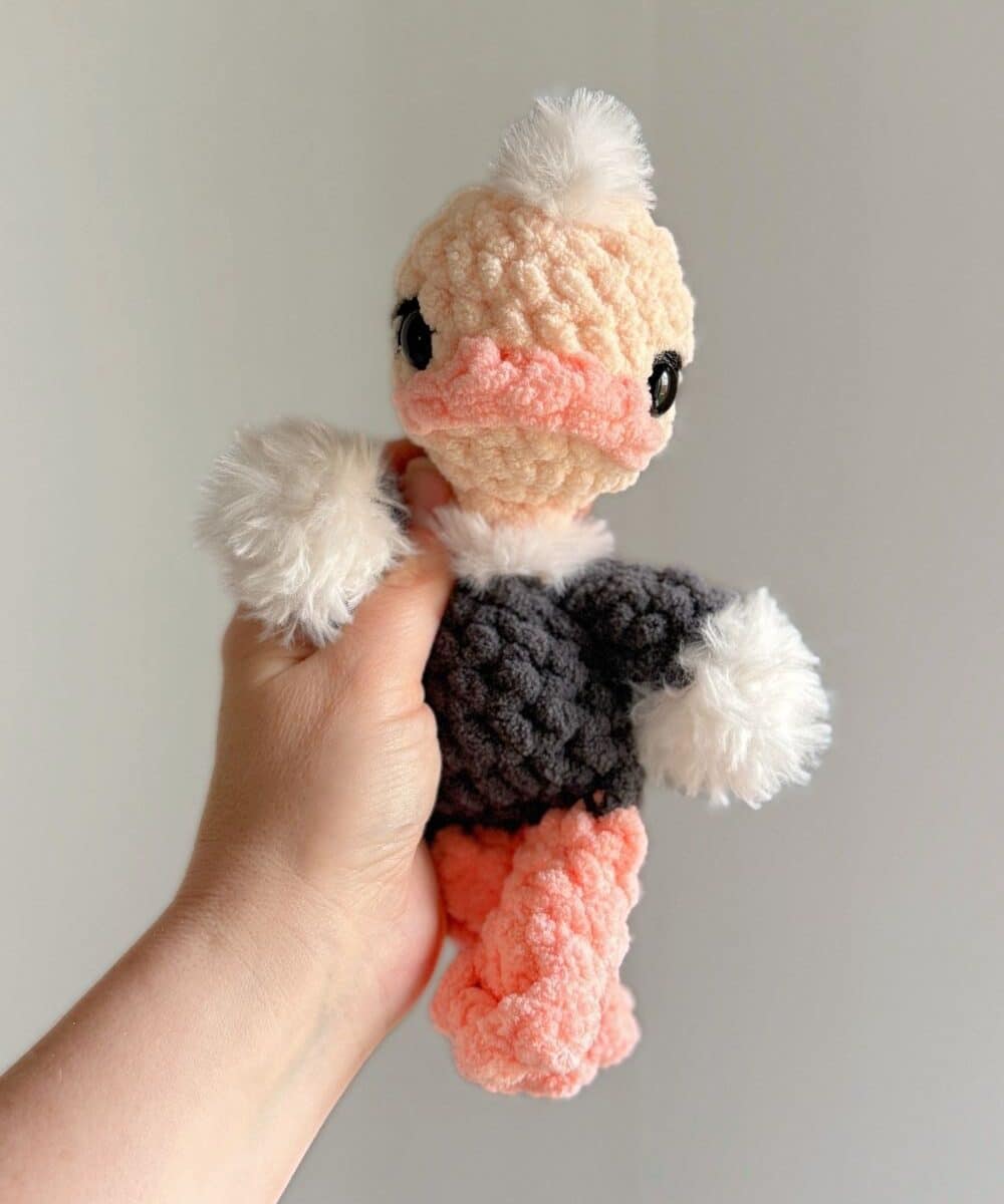A baby crochet ostrich