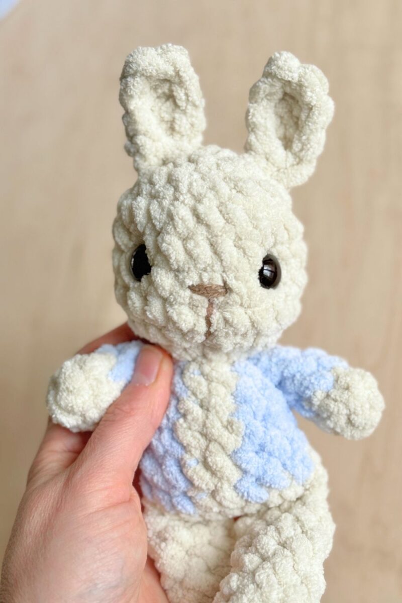 Close up of a Peter Rabbit bunny wearing a jacket.