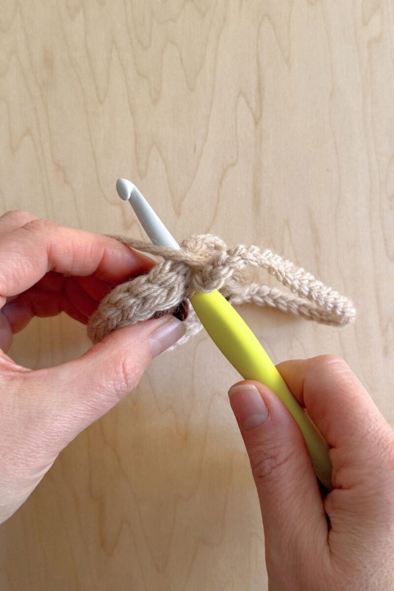 A photo showing the crochet hook inserted to make a final slip stitch.